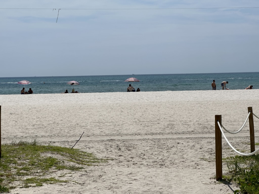 EEDA3D77-462E-4597-B88C-804ACF5BDDF3_1_105_c